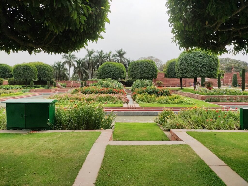 green grass field with green trees